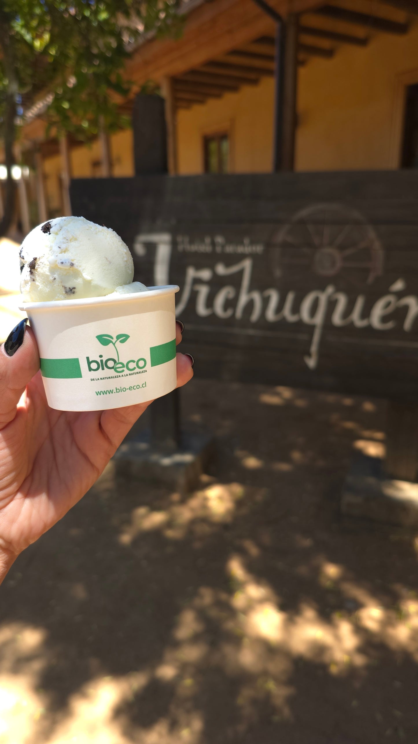 POTES HELADO PAPEL BLANCO + PLA - DIFERENTES VOLUMENES - BIOECO