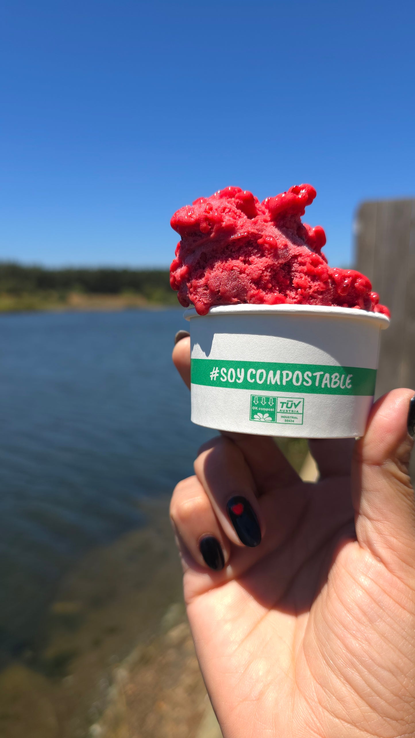 POTES HELADO PAPEL BLANCO + PLA - DIFERENTES VOLUMENES - BIOECO